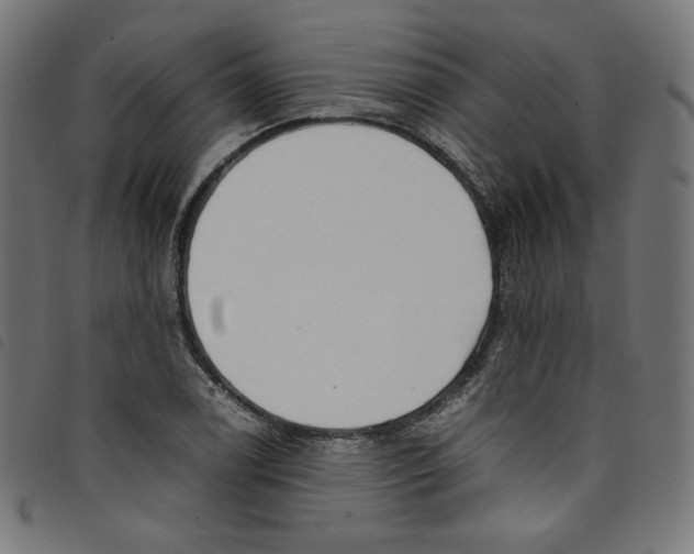 X0000098121122200804251445
