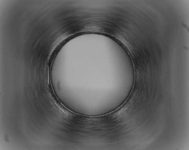 X0000098121123200804251445