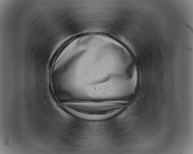 X0000098121124200804251445