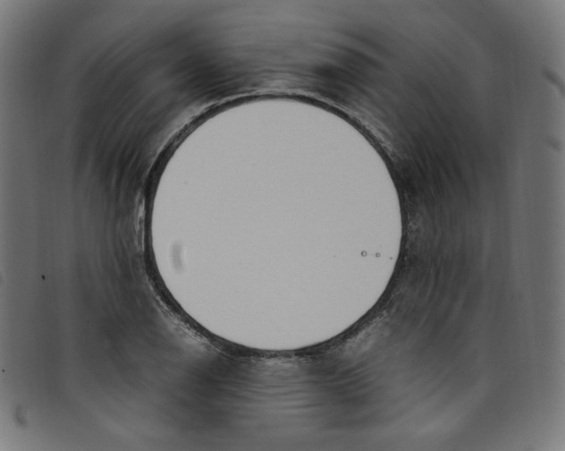 X0000098121126200804251445