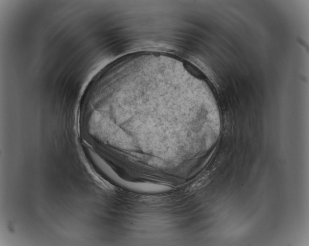 X0000098121128200804251445