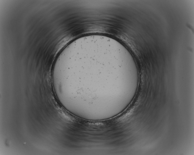 X0000098121129200804251445