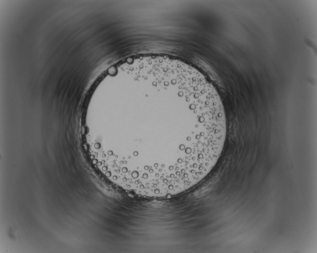 X0000098121130200804251445