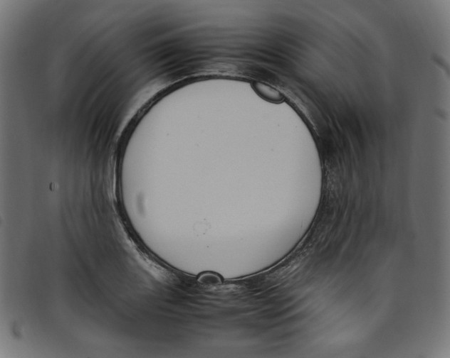 X0000098121131200804251446