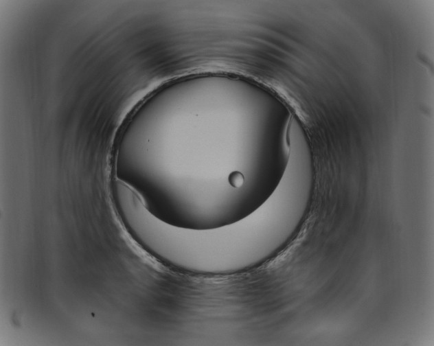 X0000098121134200804251446