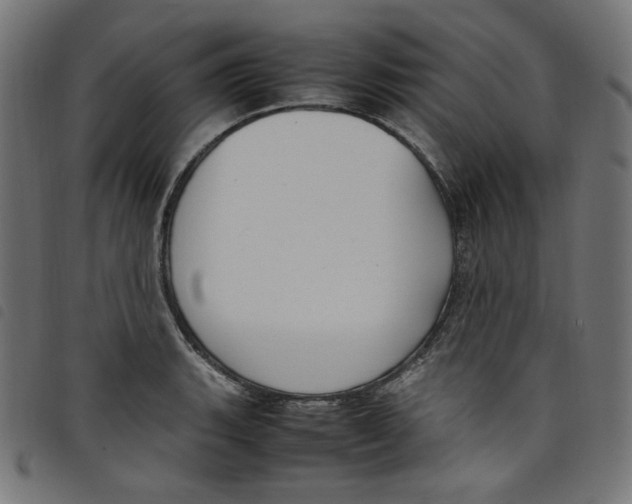 X0000098121135200804251446