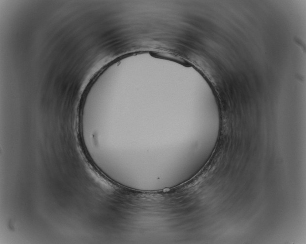 X0000098121136200804251446