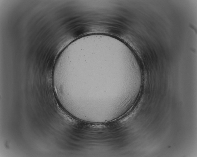 X0000098121137200804251446