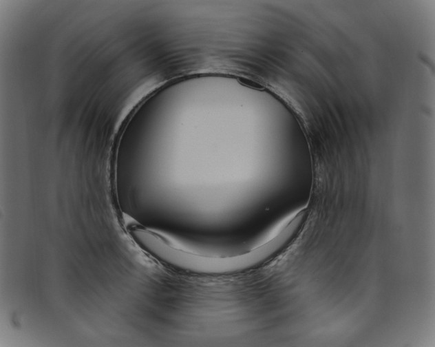 X0000098121138200804251446