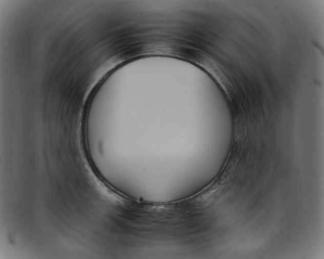X0000098121139200804251446