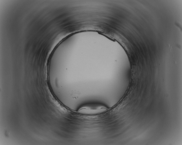 X0000098121140200804251446