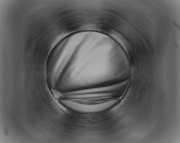 X0000098121141200804251446
