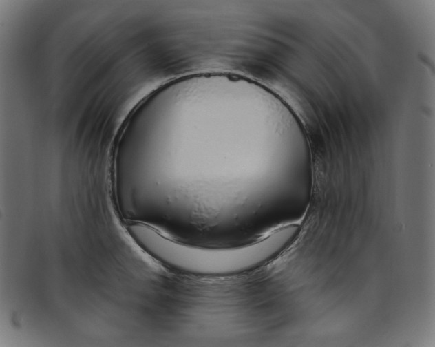 X0000098121142200804251446