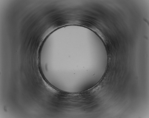 X0000098121143200804251446