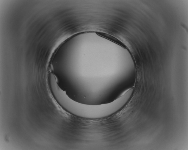 X0000098121144200804251446