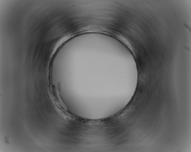 X0000098121146200804251446