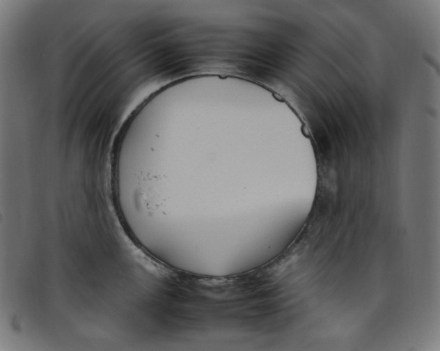 X0000098121147200804251446