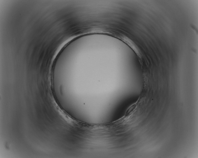 X0000098121148200804251446