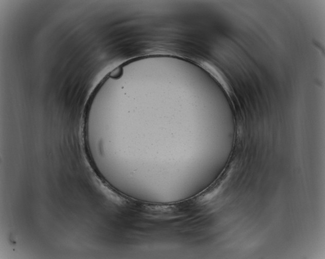 X0000098121149200804251446