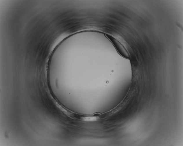 X0000098121151200804251446