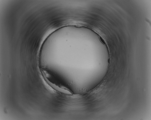 X0000098121152200804251446