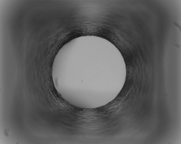 X0000098121153200804251445
