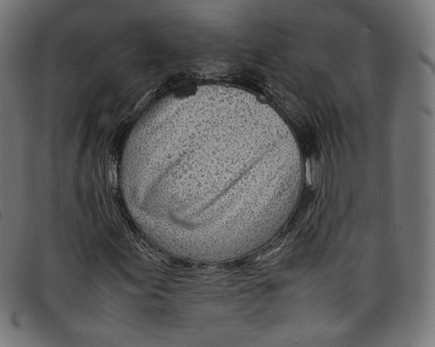 X0000098121155200804251445