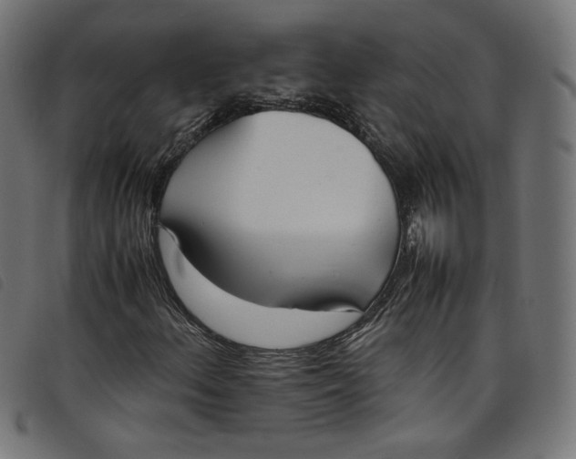 X0000098121156200804251445