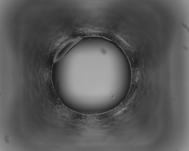X0000098121157200804251445