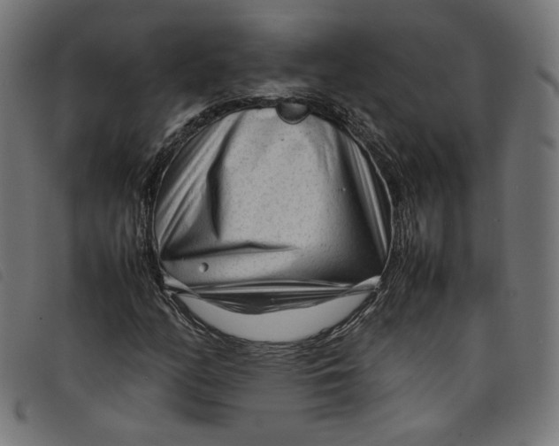 X0000098121158200804251445