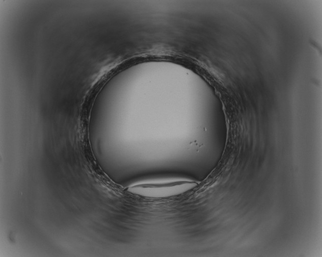 X0000098121160200804251445