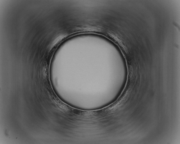 X0000098121163200804251445
