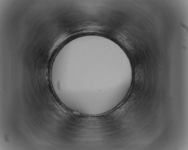 X0000098121164200804251445