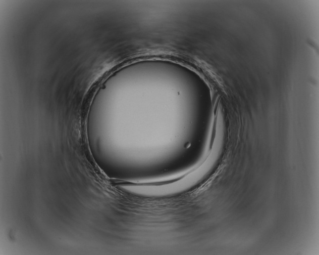 X0000098121165200804251445