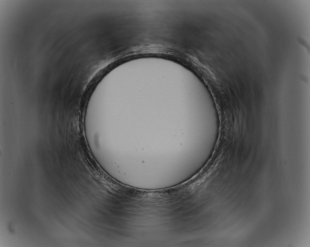 X0000098121166200804251445