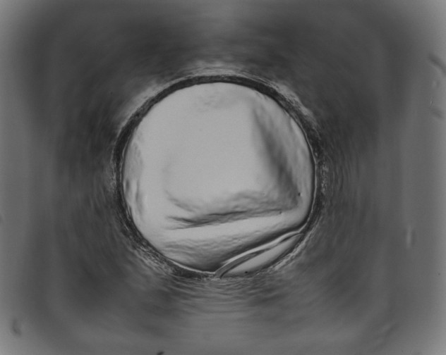 X0000098121167200804251445