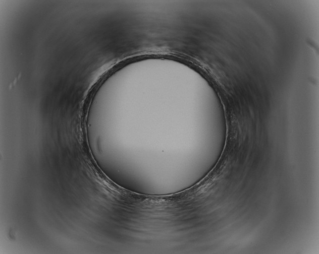 X0000098121168200804251445