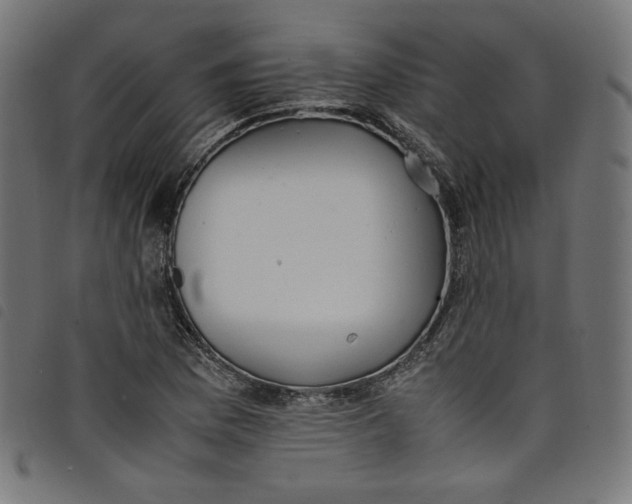 X0000098121169200804251445