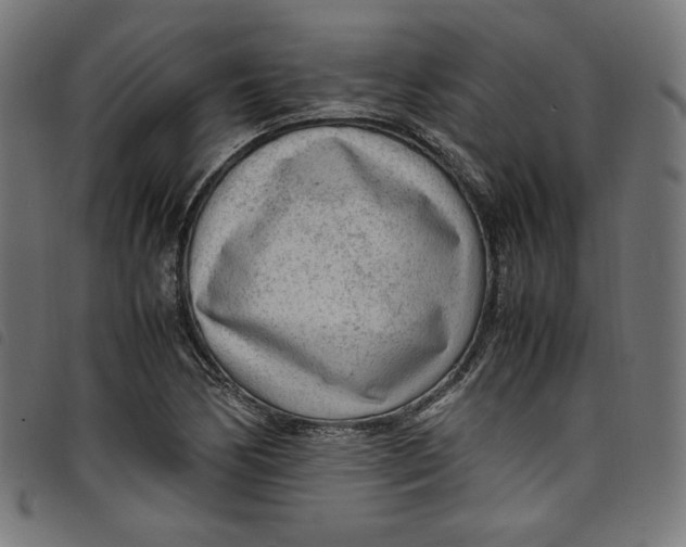 X0000098121170200804251445