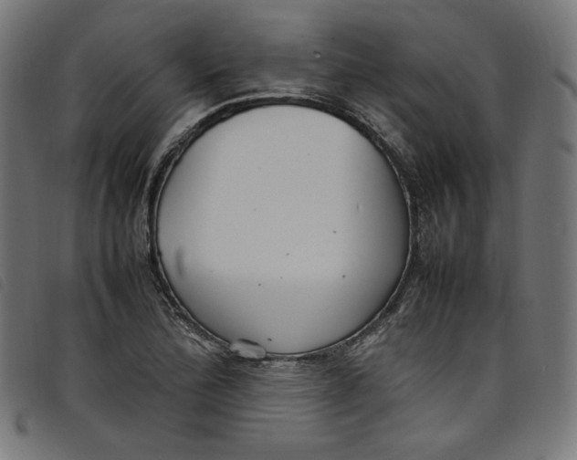 X0000098121172200804251445