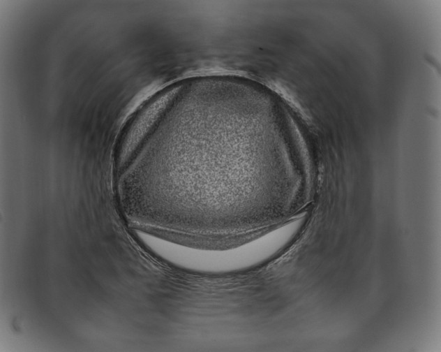 X0000098121173200804251445