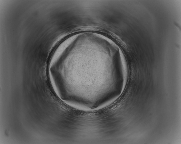 X0000098121174200804251445