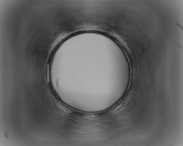 X0000098121175200804251445