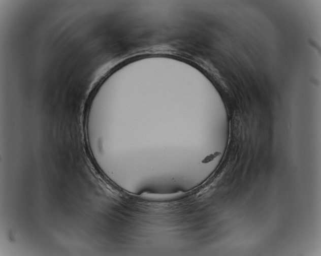 X0000098121176200804251445