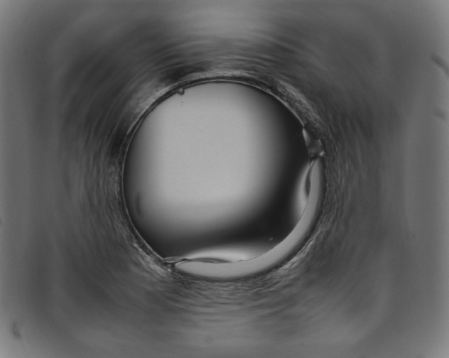 X0000098121177200804251445