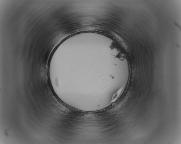 X0000098121178200804251445