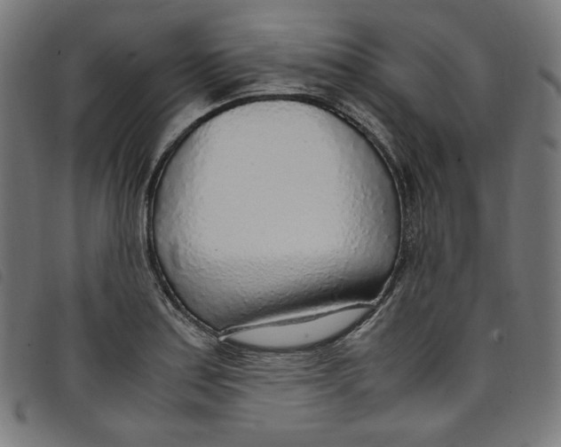 X0000098121179200804251445