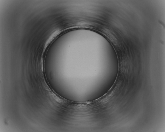 X0000098121180200804251445
