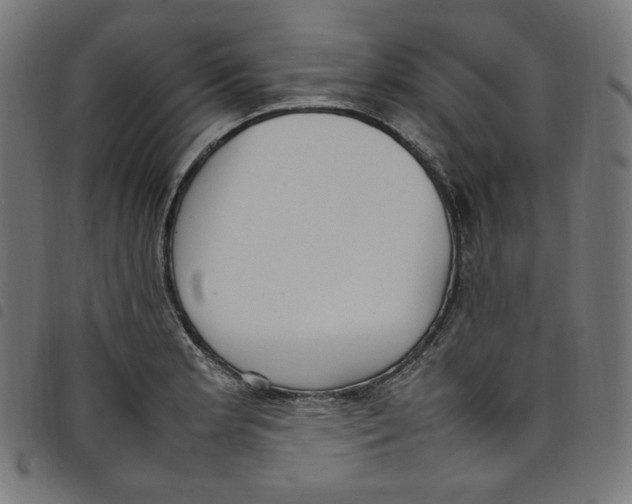 X0000098121181200804251445