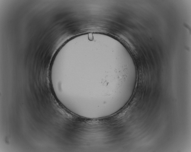 X0000098121182200804251445